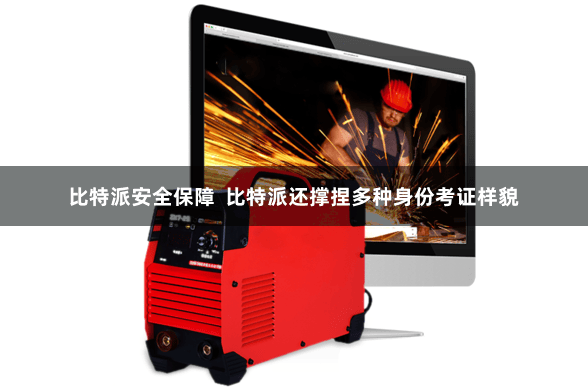 比特派安全保障 比特派还撑捏多种身份考证样貌
