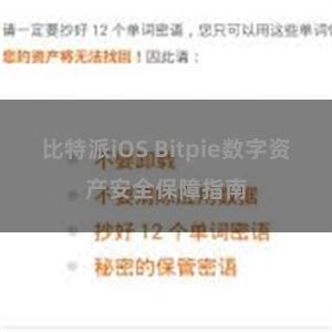 比特派iOS Bitpie数字资产安全保障指南