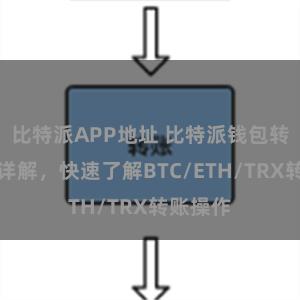 比特派APP地址 比特派钱包转账教程详解，快速了解BTC/ETH/TRX转账操作