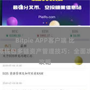 Bitpie APP客户端 比特派钱包多链资产管理技巧：全面攻略