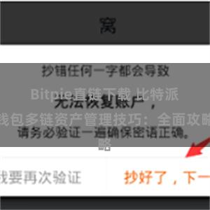 Bitpie直链下载 比特派钱包多链资产管理技巧：全面攻略