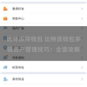 比特派冷钱包 比特派钱包多链资产管理技巧：全面攻略