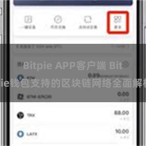 Bitpie APP客户端 Bitpie钱包支持的区块链网络全面解析