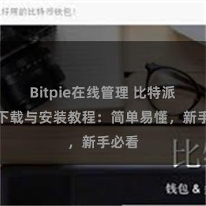 Bitpie在线管理 比特派钱包下载与安装教程：简单易懂，新手必看