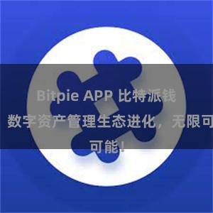 Bitpie APP 比特派钱包：数字资产管理生态进化，无限可能！