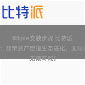 Bitpie安装步骤 比特派钱包：数字资产管理生态进化，无限可能！