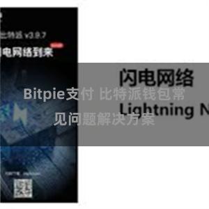 Bitpie支付 比特派钱包常见问题解决方案