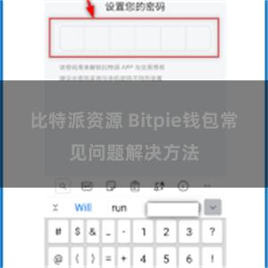 比特派资源 Bitpie钱包常见问题解决方法