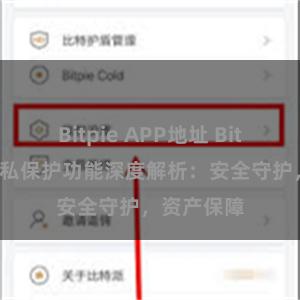 Bitpie APP地址 Bitpie钱包隐私保护功能深度解析：安全守护，资产保障