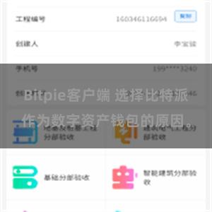 Bitpie客户端 选择比特派作为数字资产钱包的原因。