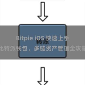 Bitpie iOS 快速上手比特派钱包，多链资产管理全攻略