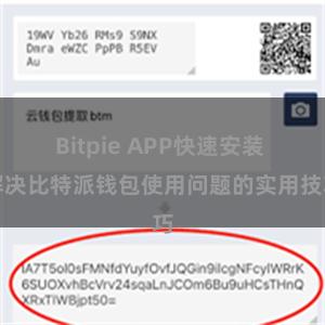 Bitpie APP快速安装 解决比特派钱包使用问题的实用技巧