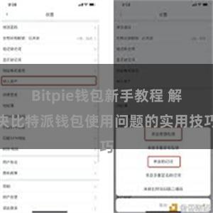 Bitpie钱包新手教程 解决比特派钱包使用问题的实用技巧