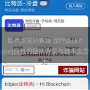 比特派注册教程 比特派(Bitpie)钱包的团队背景与技术实力