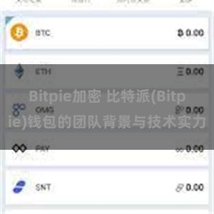 Bitpie加密 比特派(Bitpie)钱包的团队背景与技术实力