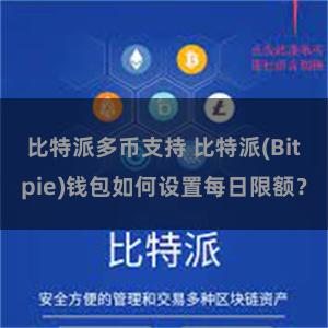 比特派多币支持 比特派(Bitpie)钱包如何设置每日限额？