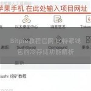 Bitpie教程官网 比特派钱包的冷存储功能解析