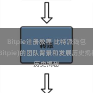 Bitpie注册教程 比特派钱包(Bitpie)的团队背景和发展历史揭秘
