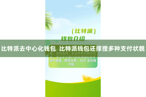 比特派去中心化钱包  比特派钱包还撑捏多种支付状貌